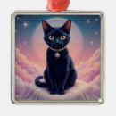 Search for black cat ornaments Pets