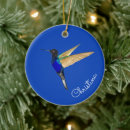 Recherche de aile bleue maison deco Oiseau