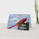 Search for red cardinal birthday cards Wildlife