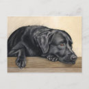 Search for daydreamer postcards Dog