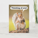 Search for nut with squirrel cards For kids