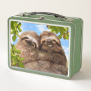 Search for sloth lunch boxes Funny