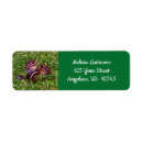 Search for pencil return address labels Cute