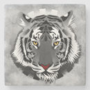 Recherche de tigre blanc dessous de verres Faune