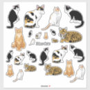 Search for assortment stickers Cat