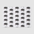 Search for beetle tissue paper Entomology