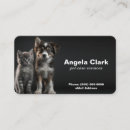 Recherche de marche de chien cartes visite Chat