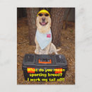 Search for sporting dog postcards Labrador retriever