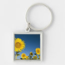 Search for square sunflower keychains Field