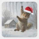 Search for christmas squirrel stickers Wildlife