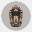Search for fossils stickers Geology