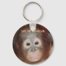Search for save wildlife keychains Conservation