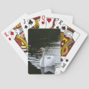 Recherche de cygne jeux de cartes Oiseau