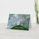 Recherche de jasmine vœux cartes Blanc