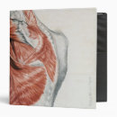 Search for shoulders binders 19th