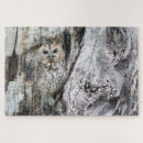 Search for predator puzzles Owl