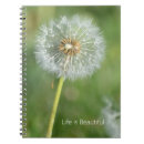 Recherche de pissenlit photographie Fleur