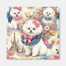 Recherche de bichon magnets Mignon