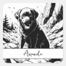 Search for black labrador stickers Birthday