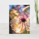 Search for sunshine flower cards Floral