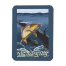 Search for lantern fish magnets Collection