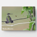 Recherche de abeille plaques Colibri