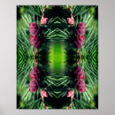 Search for pinecones posters Nature