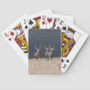 Search for antlers playing cards Hunting