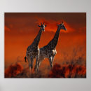 Recherche de sud africain art Girafe