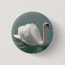 Search for swan buttons Animals