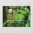 Recherche de pierre cartes postales Vert