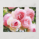 Recherche de pierre cartes postales Fleur