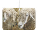 Search for sheep car air fresheners Cute