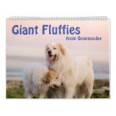 Search for newfoundland dog calendars Dogs