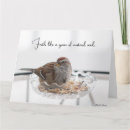 Search for care and concern cards Comfort