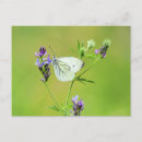 Recherche de veines vœux cartes Nature