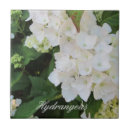 Search for white hydrangeas tiles Floral