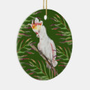 Search for hand drawing ornaments Watercolor