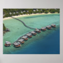 Search for accommodation posters David