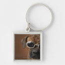 Search for creative square keychains Creativity