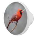Recherche de oiseau rouge boutons et poignées de porte Nature