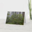 Search for rhododendrons cards Forest