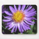 Search for aster mousepads Flower