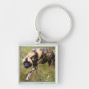 Search for wild dog keychains Hunting