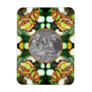 Recherche de papillon vert magnets Nature
