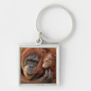 Search for australia day keychains Outdoors