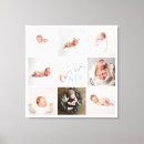 Recherche de collage pet memorials Moderne