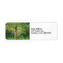 Search for birch return address labels Tree