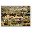 Search for chaco Mexico