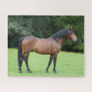 Search for new forest puzzles Horse